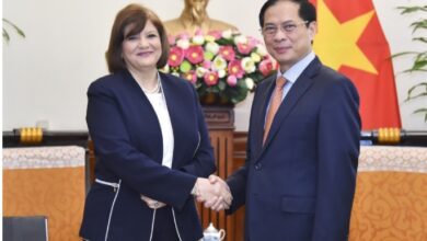 وزير الخارجية بوي ثانه يستقبل السفير المصري لدى فيتنام